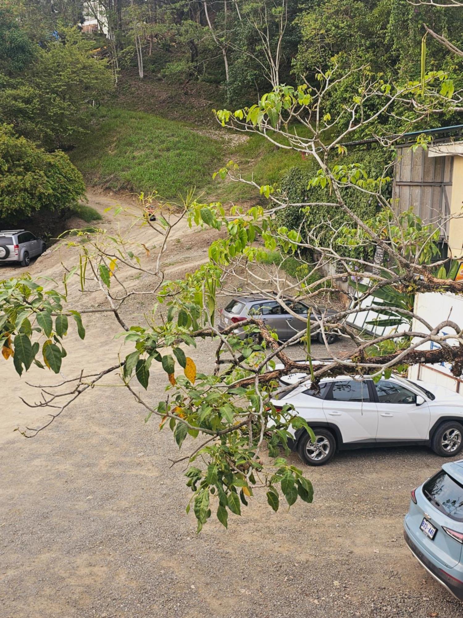 Pura Vida Apartments ケポス 部屋 写真